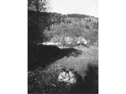 Foto 44